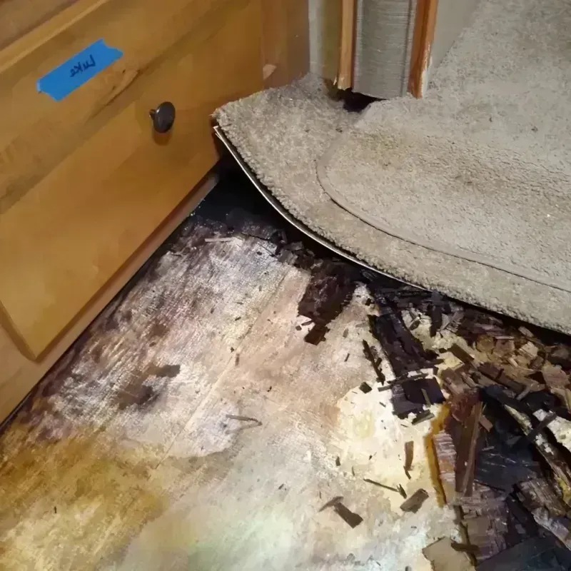 Best Wood Floor Water Damage Service in Cherokee County, IA